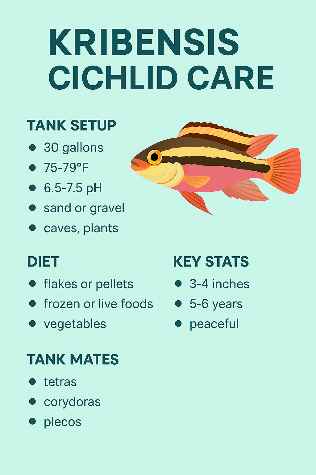 Kribensis Cichlid Care